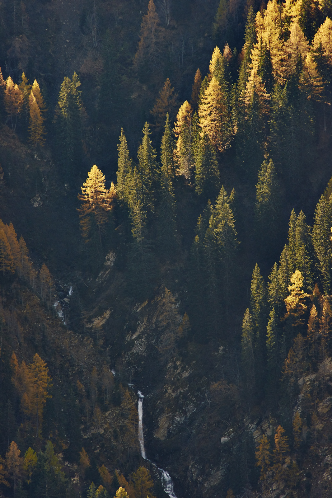 123_DSC9168a 2